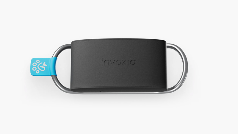 Invoxia Minitailz Pet Tracker on a collar