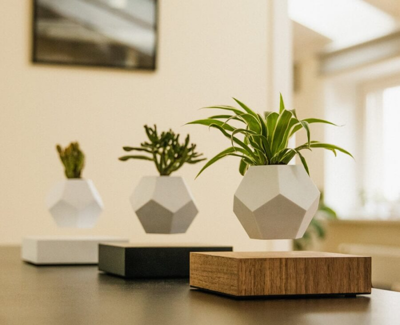 Three Levitating Plant Pots displayed on a wooden table.