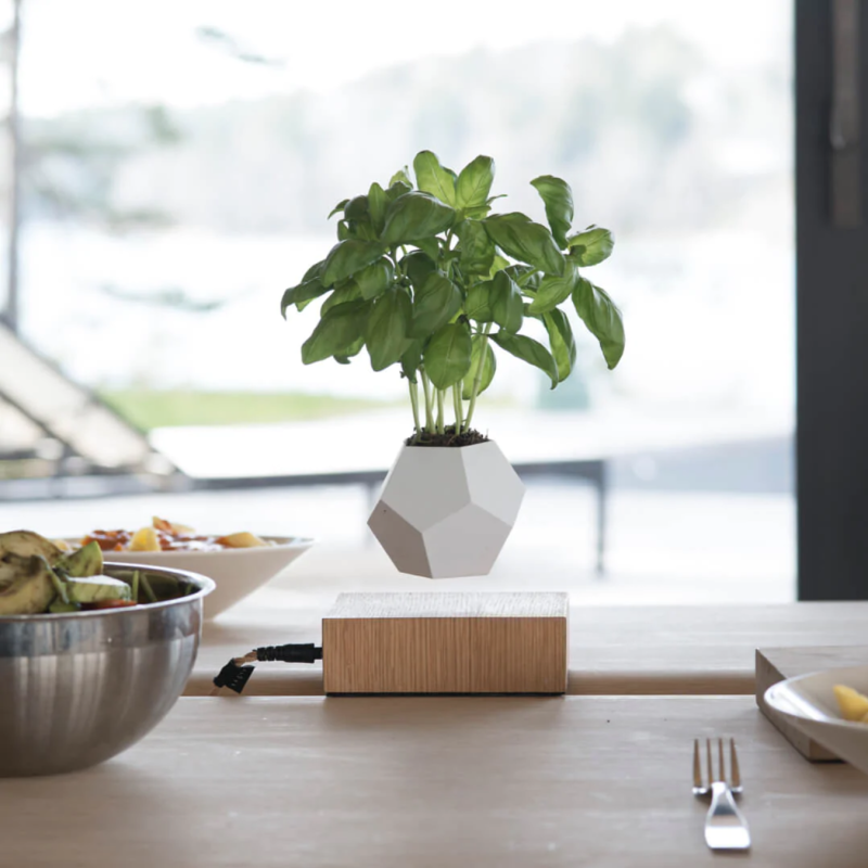 Levitating Plant Pot placed elegantly on a dining table.