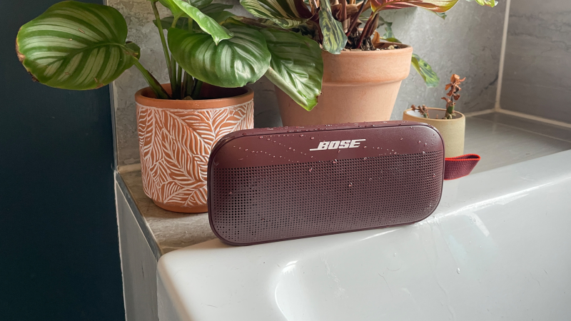 Take Your Sound Everywhere: Bose SoundLink Flex