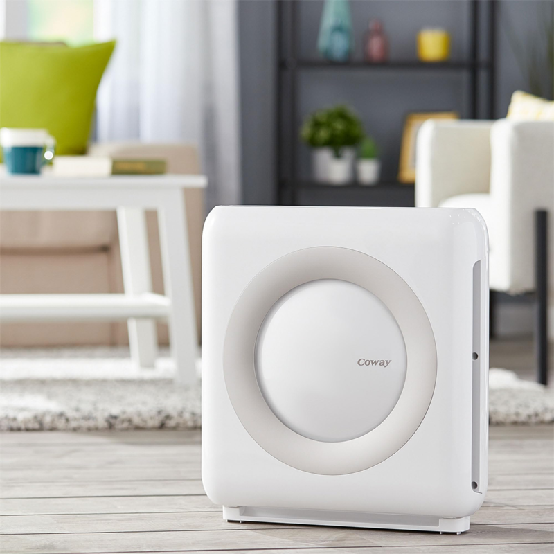 Clean Air, Happy Home: Coway HEPA Purifier Review
